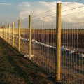 Hight Quality Goat Farming/Field Fence for Sheep and Cattle